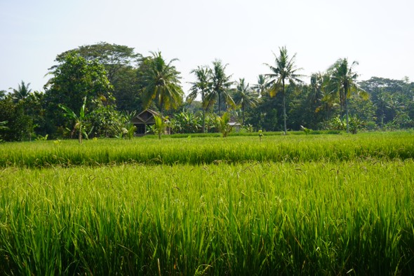 Foto dari Adi Fitrianto