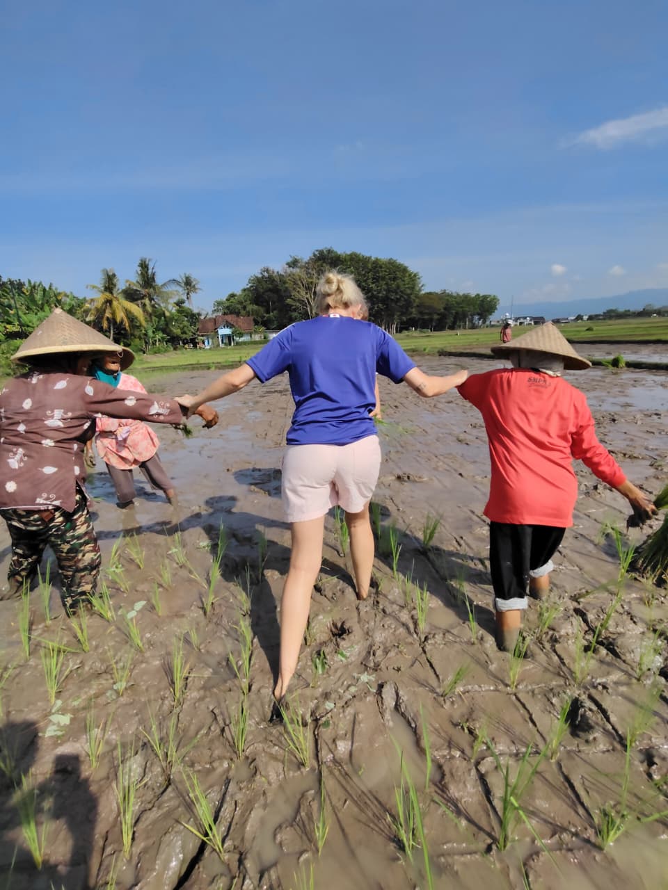 Foto dari Bagus Santoso